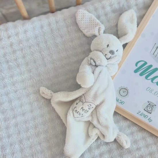 video affiche de naissance personnalisée dinosaure vert