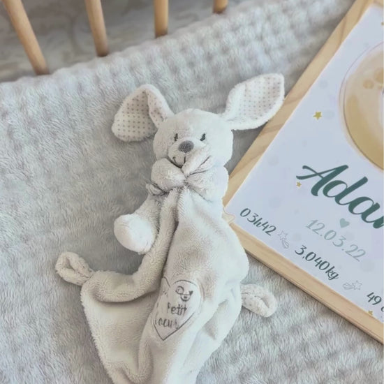 video affiche de naissance personnalisee zebre