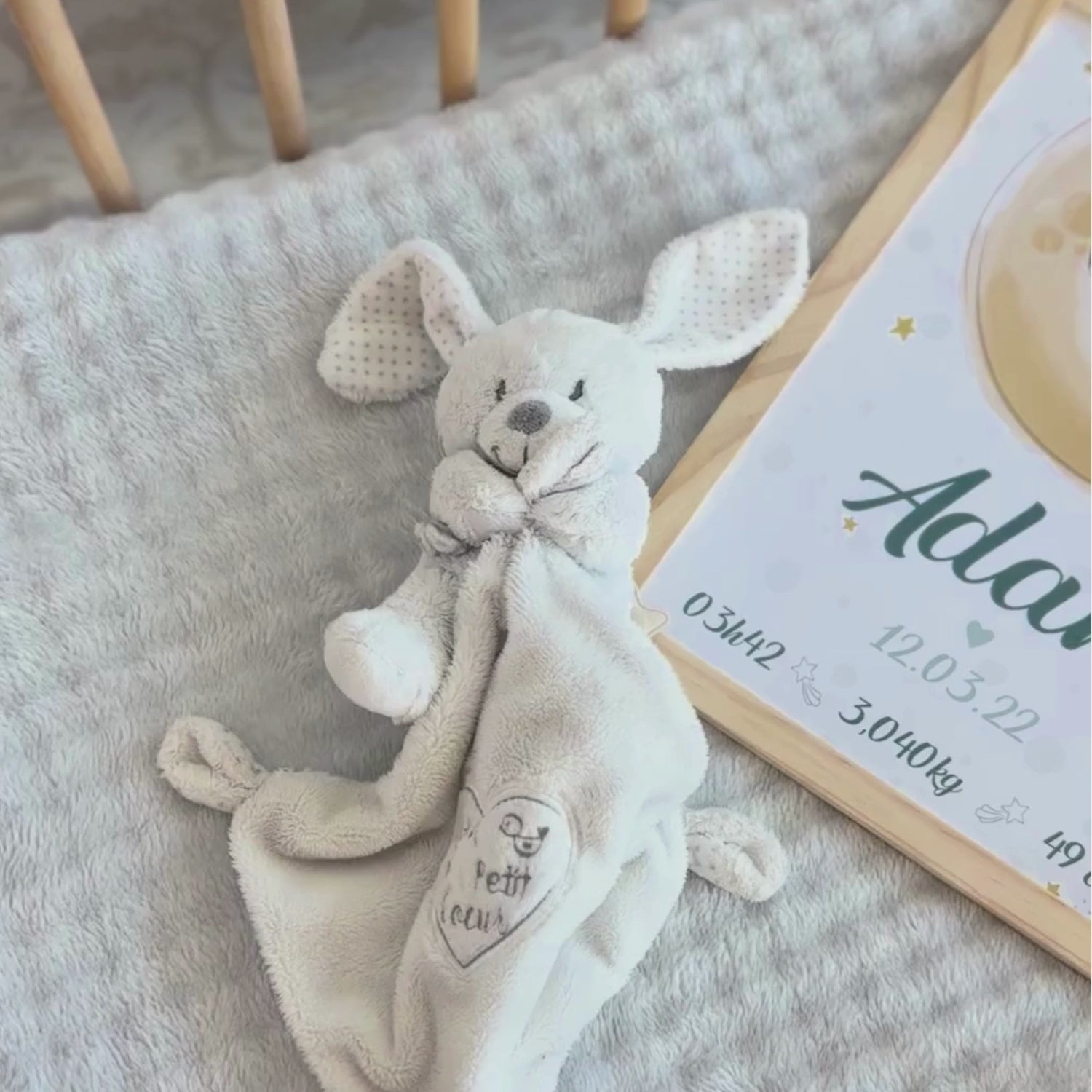 video affiche de naissance personnalisee zebre